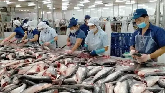 Trung Quốc ngừng nhập khẩu hải sản từ Nhật Bản